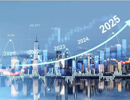 2025 Mid-Year Outlook